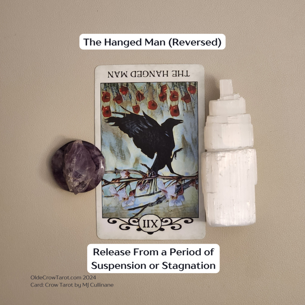 In the reversed Hanged Man tarot card, you see a crow with its wings stretched behind, raising one leg. Above the crow, there are vibrant red poppies growing towards it, instead of hanging below. The crow stands firmly on a flowering tree branch rather than hanging from it. To the left of the card, there is a representation of amethyst, while to the right, you'll find selenite. The card is labeled with the caption "The Hanged Man (Reversed)" and a description that reads, "Release From a Period of Suspension or Stagnation." This suggests that one move on, gain fresh perspective, or journey with one's friends or kindred spirits. Additionally, there are identifiers for the source, "OldeCrowTarot.com," and the card's origin, "Card: Crow Tarot by MJ Cullinane." The background of the image is beige.